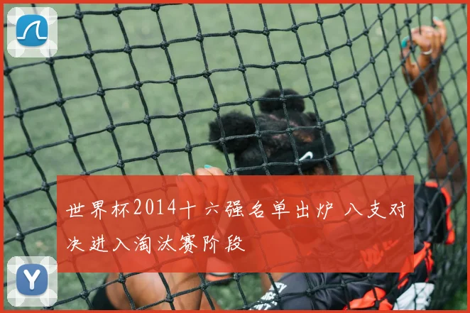 世界杯2014十六强名单出炉 八支对决进入淘汰赛阶段