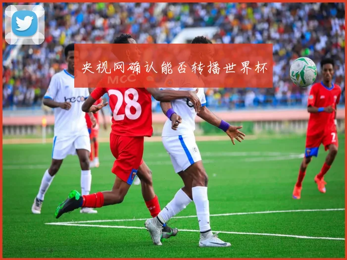 央视网确认能否转播世界杯