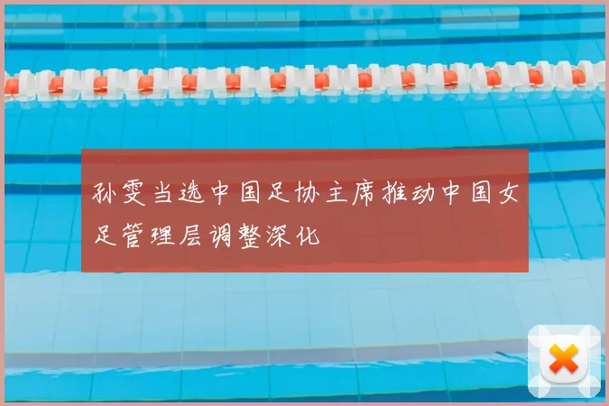 孙雯当选中国足协主席推动中国女足管理层调整深化