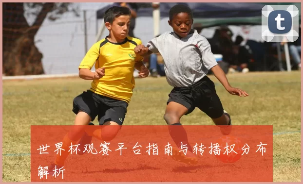 世界杯观赛平台指南与转播权分布解析
